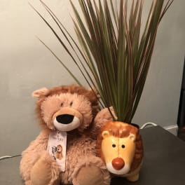 Plush teddy bear beside a lion-shaped planter with tall spiky leaves