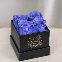 Forever Roses Purple