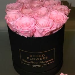 Pink roses arranged in a black round box