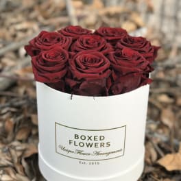 Red roses arranged in a white round box