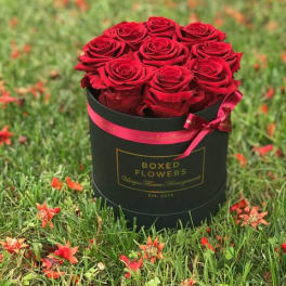 Red roses arranged in a black round box with a pink ribbon
