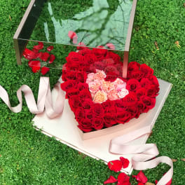 Heart-shaped box of red and pink roses with a ribbon on grass