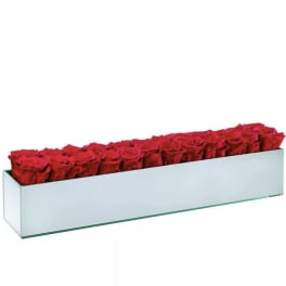Long rectangular box filled with red roses