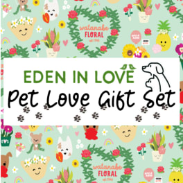 Colorful Pet Love Gift Set card with cartoon dogs, smiling flowerpots, hearts, and flowers on a mint green background