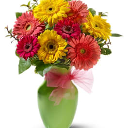 Colorful gerbera daisy bouquet in a green vase with pink ribbon