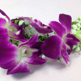 Purple orchid bouquet with white filler flowers