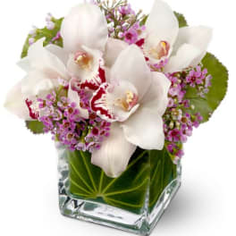 White orchids and purple filler flowers in a square glass vase
