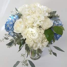 Blue and White Abundance