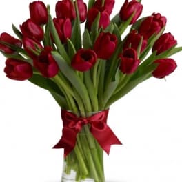 Red tulip bouquet in a clear glass vase with a red ribbon