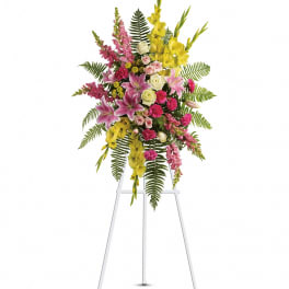 Rays of Light Spray by Teleflora