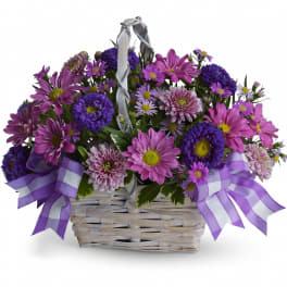 Daisy Daydreams by Teleflora