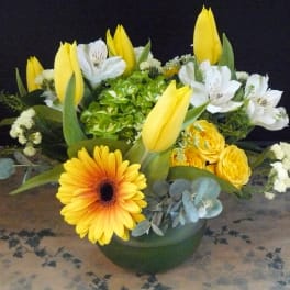 Yellow tulips and white flowers in a low green bowl arrangement