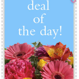 Blue card with flowers at the bottom and "deal of the day!" text