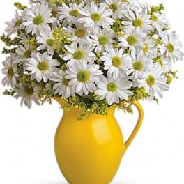 Teleflora's Sunny Day Pitcher of Daisies
