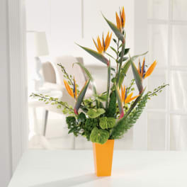 Bird of paradise arrangement in an orange vase