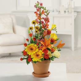 Mixed bouquet in a terracotta pot with orange, yellow, and pink flowers