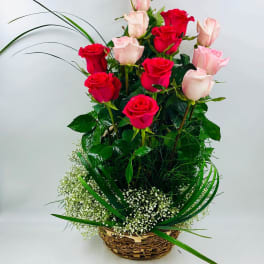 Basket arrangement of red and pale pink roses with baby's breath