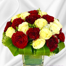 Red and pale yellow roses arranged in a clear square vase