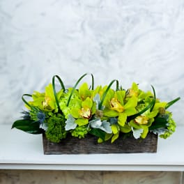 Rectangular arrangement of lime-green orchids in a wooden box