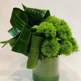 Green pompom flowers in a glass vase with large folded leaves