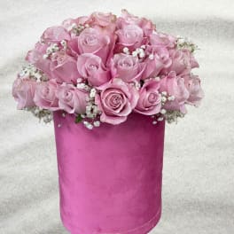 Pink roses with baby's breath in a tall pink box