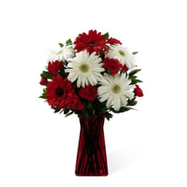 Tall bouquet of red and white gerbera daisies and red carnations in a red glass vase