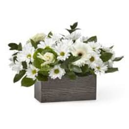 White daisies and green blooms in a dark rectangular box