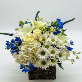 White and blue floral arrangement in a bark-covered square container