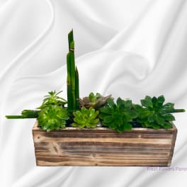 Succulent arrangement in a wooden planter with tall bamboo stalks