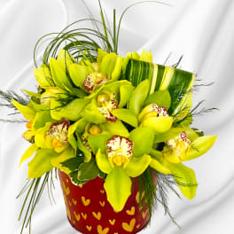 Yellow orchids arranged in a red heart-patterned container