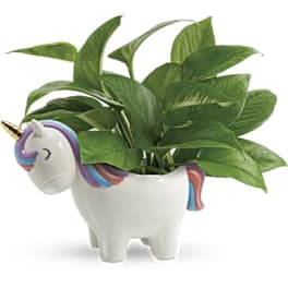 Potted green plant in a white unicorn-shaped ceramic planter