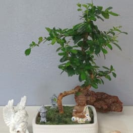 Small potted bonsai tree with a Buddha figurine and miniature ornaments