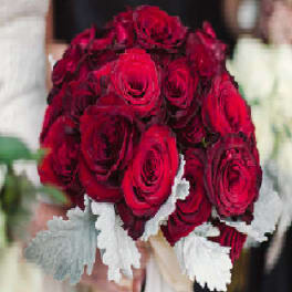 Bouquet of deep red roses with white ribbon accents