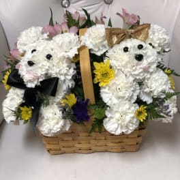 Paired puppies basket