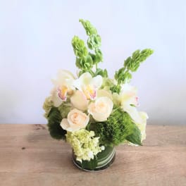 Cream roses and white orchids arranged in a glass vase with green blooms