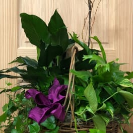 Basket arrangement with purple orchids and lush green plants