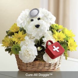 Cure All Doggie