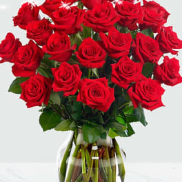 24 red roses