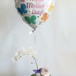 Mother's Day balloon with white orchid in a decorated pot