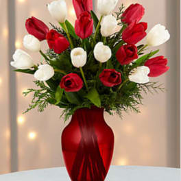 Merry Moments Holiday Tulip Bouquet ( order 2 days in advance please)