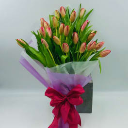 Bouquet of pink tulips wrapped in purple paper with a red ribbon