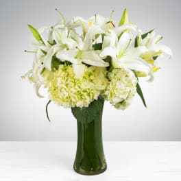 Tall glass vase with white lilies and pale green hydrangeas arranged densely.