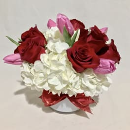 Low arrangement of red roses, pink tulips, and white hydrangeas in a white vase with a red ribbon bow