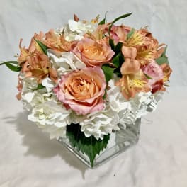 Compact arrangement of peach roses and white hydrangeas in a clear glass cube vase