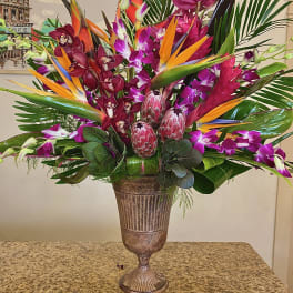 Tall tropical arrangement with orange birds of paradise, purple orchids, and protea in a bronze urn vase