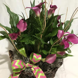 Basket of pink mini calla lilies with curly branches and a bright pink and green bow