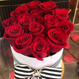 Red roses arranged in a white hat box with a black-and-white ribbon
