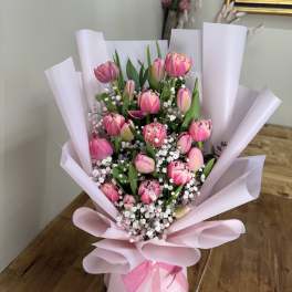 pink tulip dreams 