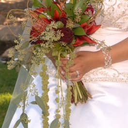 Bride holding a cascading bouquet of red flowers and greenery