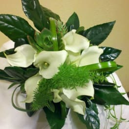 White calla lilies with dark green foliage in a bouquet